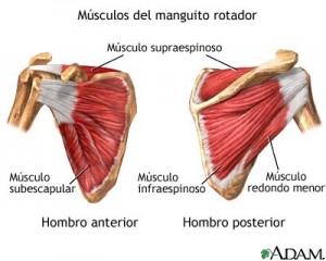 manguitorotador