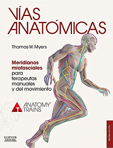 vias anatomicas