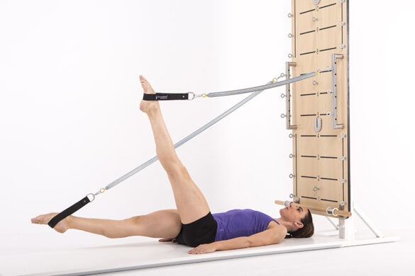 springboard-leg -springs