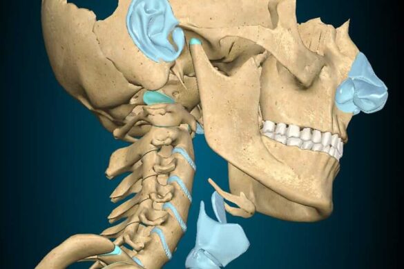 Discos intervertebrales zona cervical