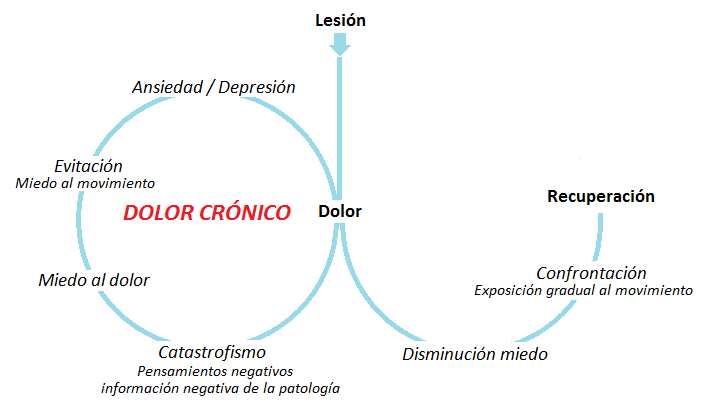 Factores dolor crónico