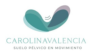 logo cvred - Suelo Pélvico en la Sala de Pilates