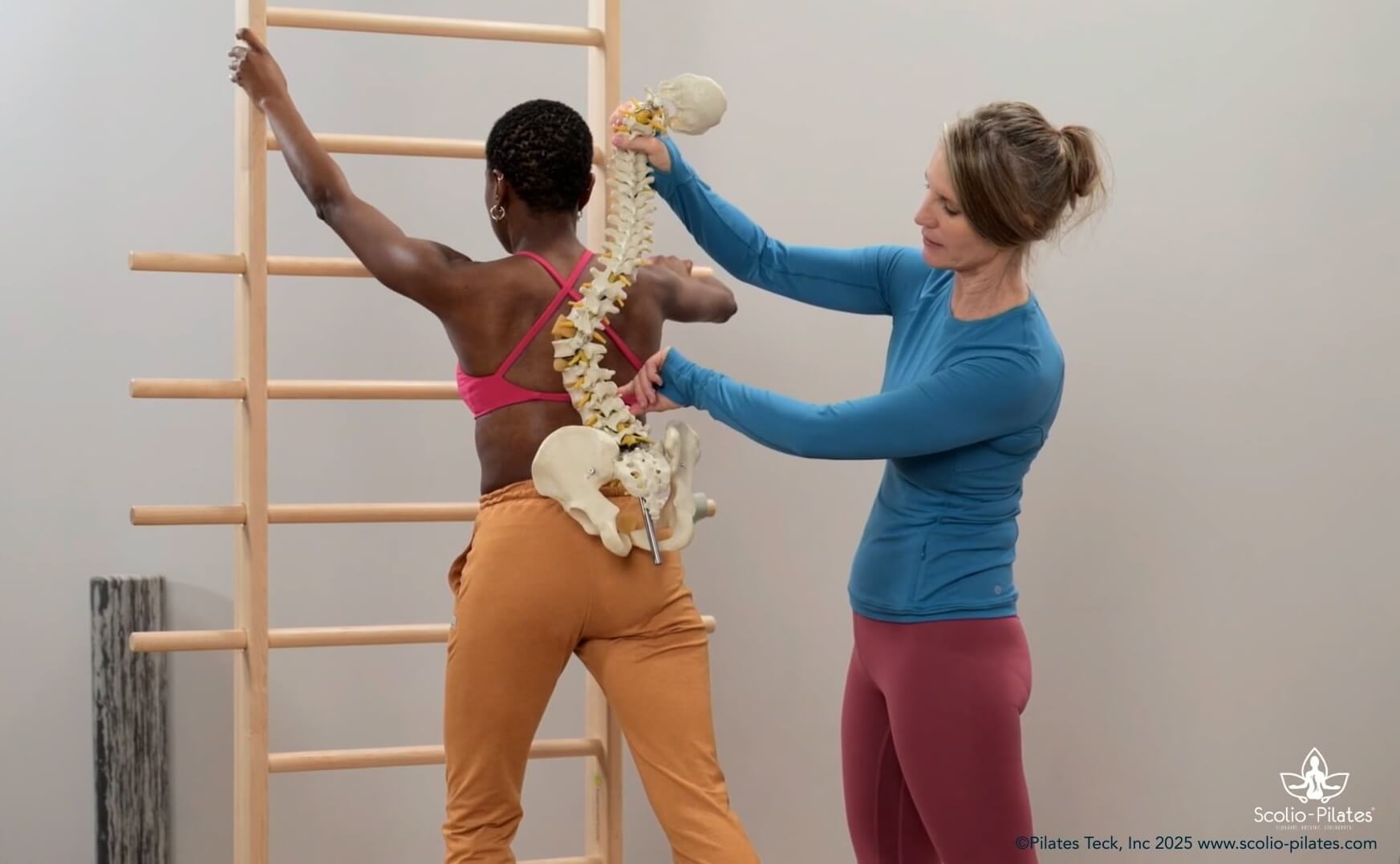 ScolioPilates columna - Scolio-Pilates®: Formación en Ejercicio para la Escoliosis dirigida a Profesionales del Movimiento